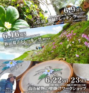 ～八幡平の見所はドラゴンアイだけじゃない！！～【6月のイベント申込受付中！】